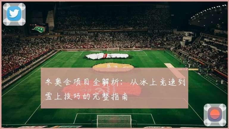 冬奥会项目全解析：从冰上竞速到雪上技巧的完整指南